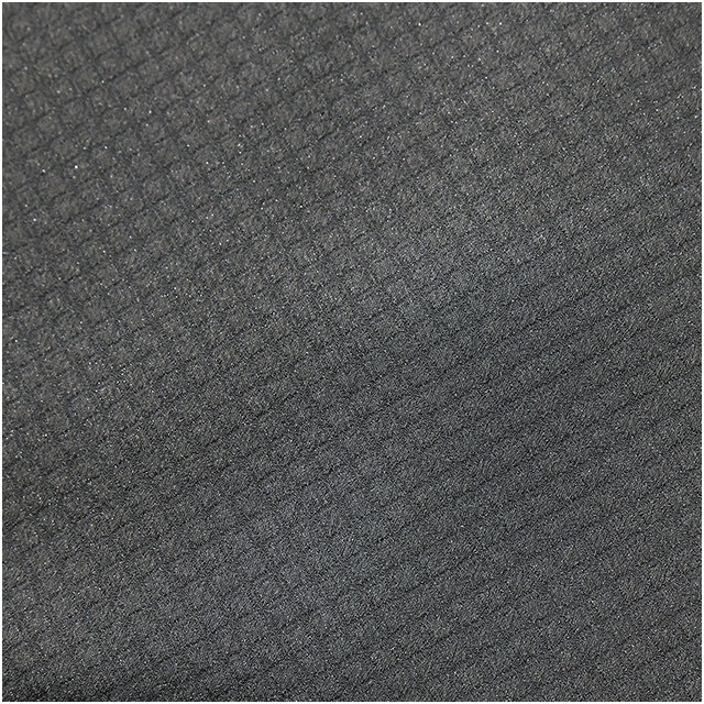 RG1079